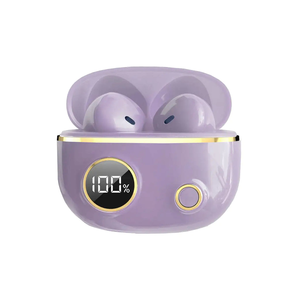 Fancy High Definition Earbuds