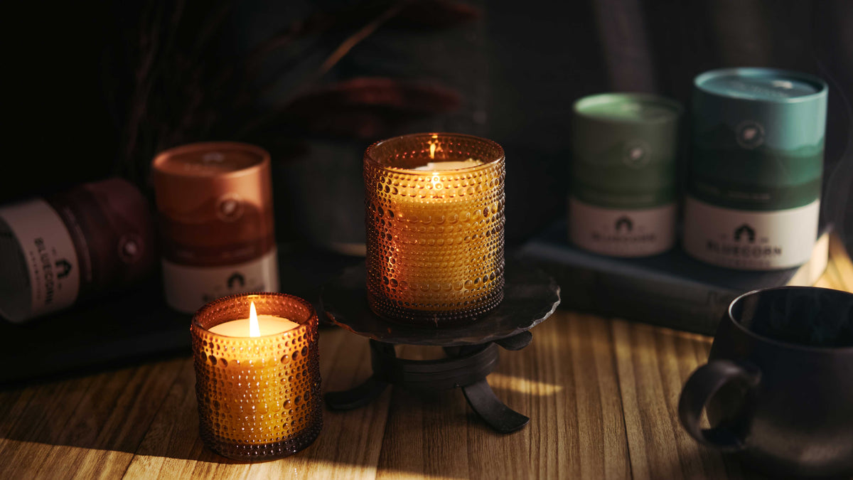 Winter Scented Candle Pair: Pine & Spice Aromática Home Fragrance
