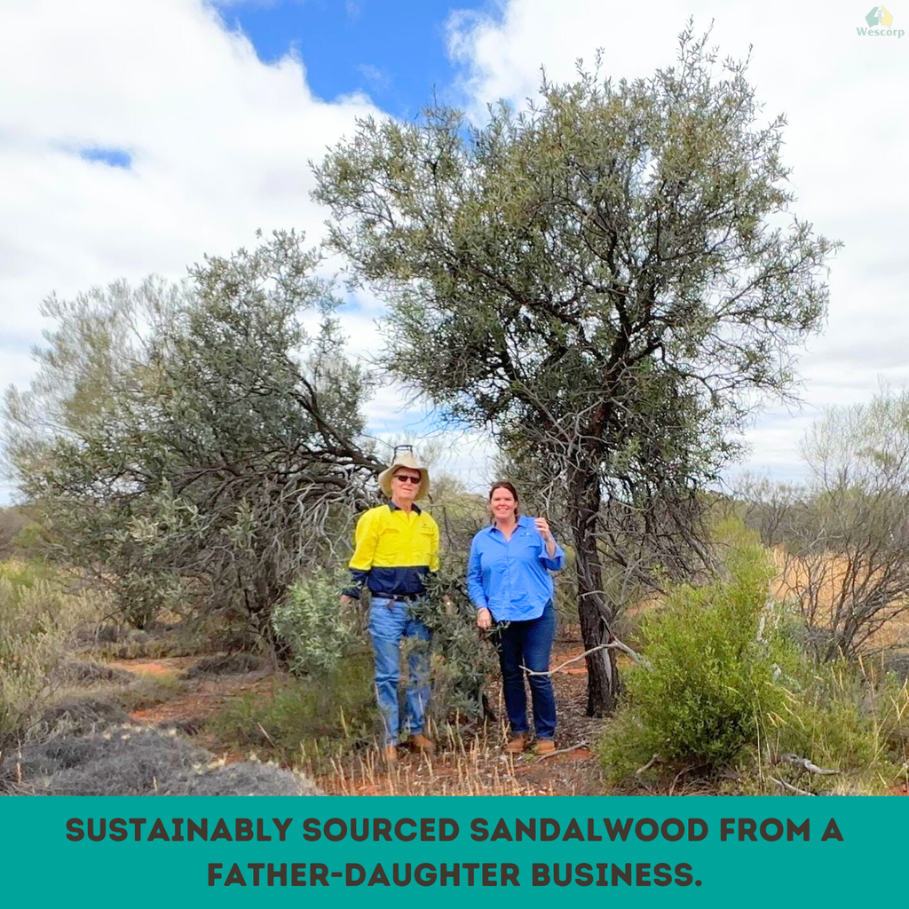 Pure Organic Australian Sandalwood Incense Sticks