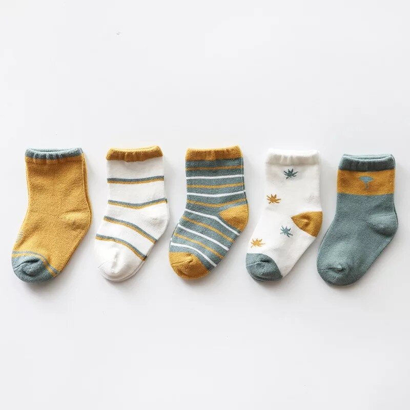 Organic Cotton Toddler Socks - Autumn Bundle 5 Pack