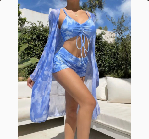 Three-Piece Bikini Set with Sheer Mesh Cover-Up and Briefs