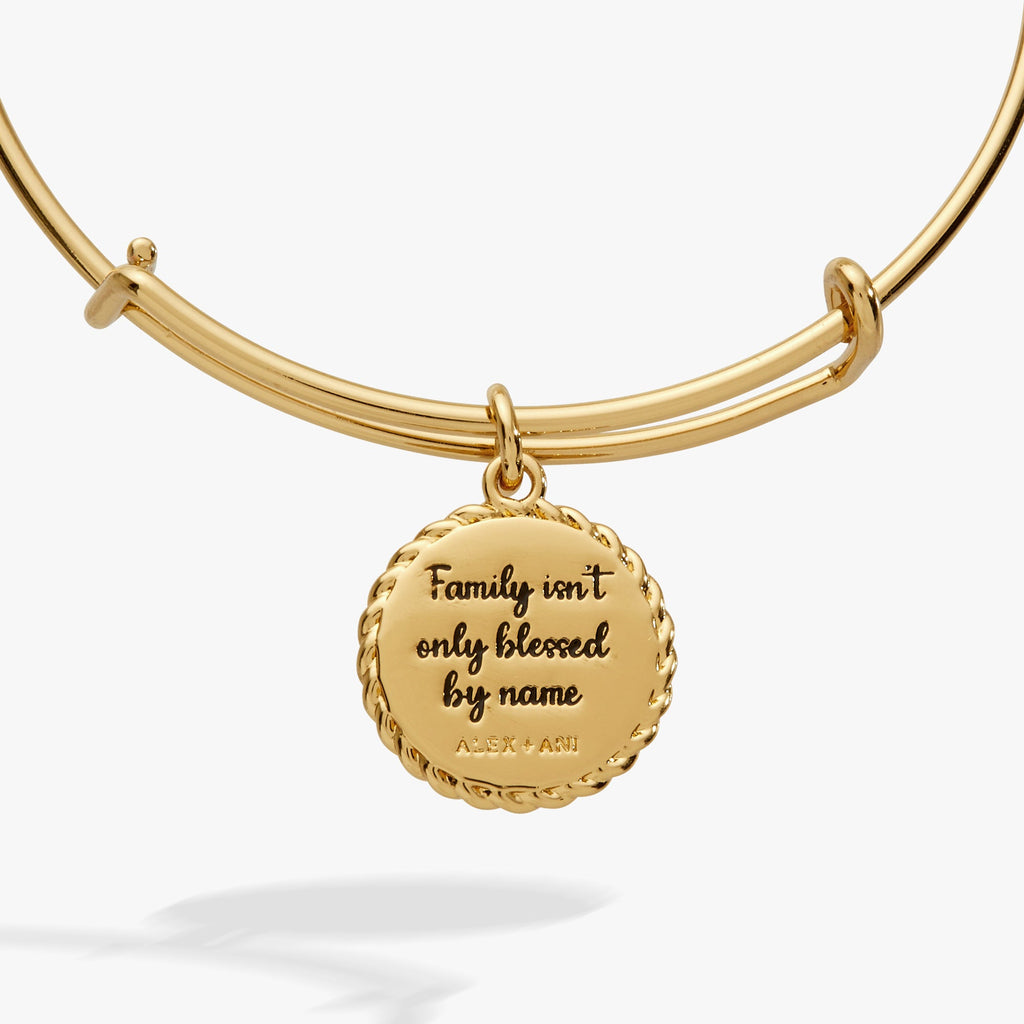 Bonus Mom Family Isn't Only Blessed By Name Gold Charm Bangle
