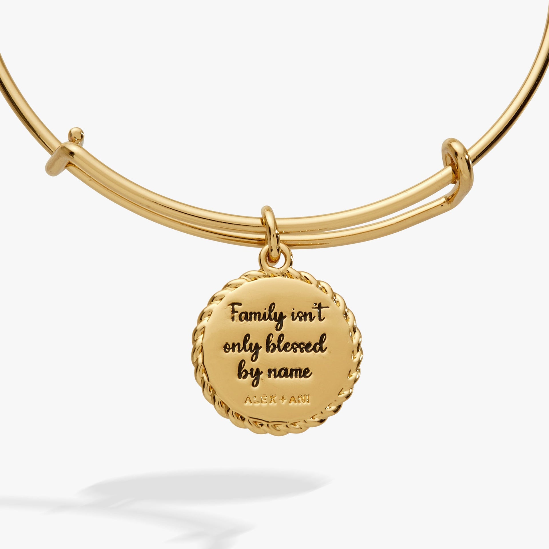 Bonus Mom Family Isn't Only Blessed By Name Gold Charm Bangle