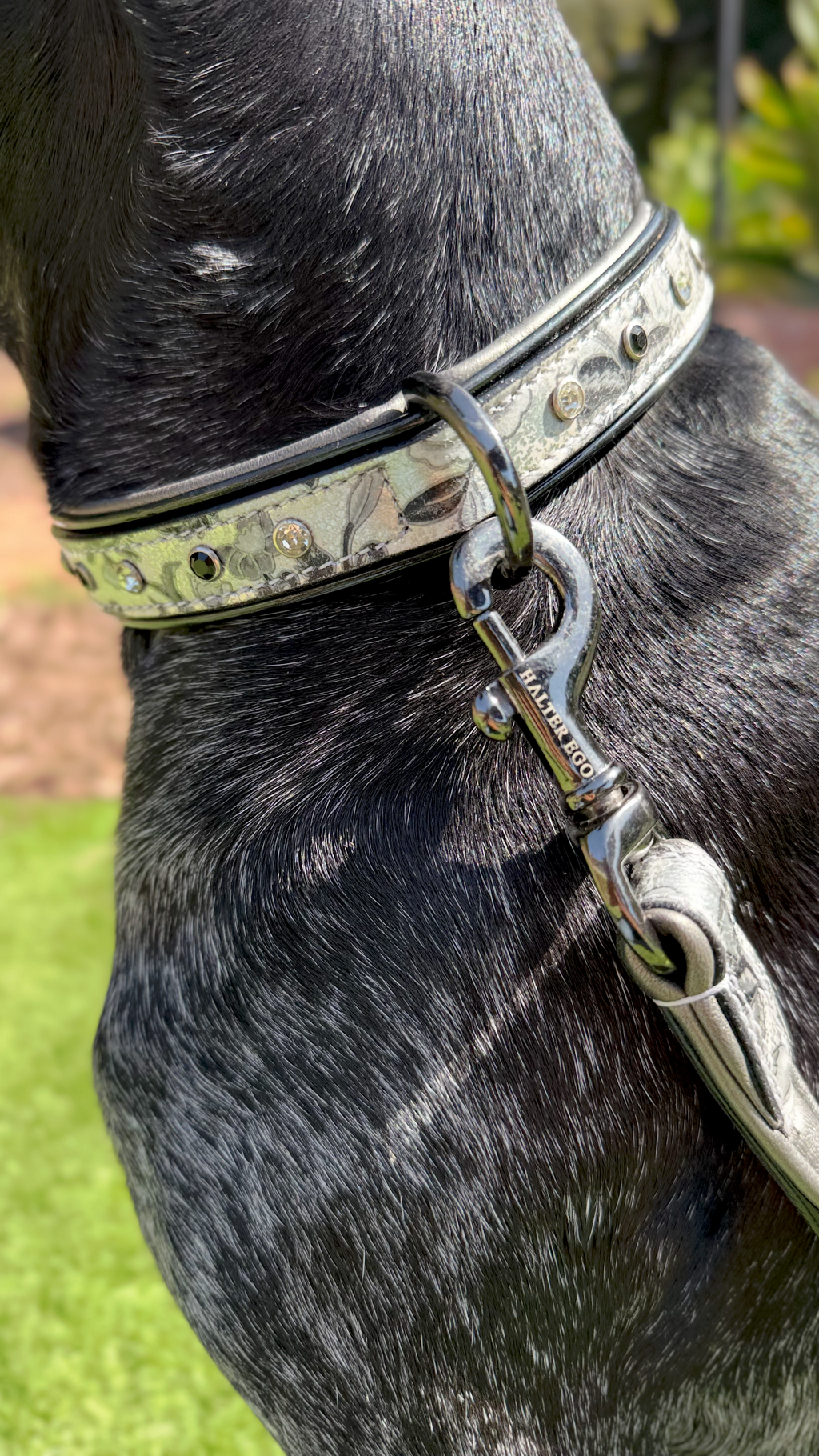 Venetian Leather Dog Leash