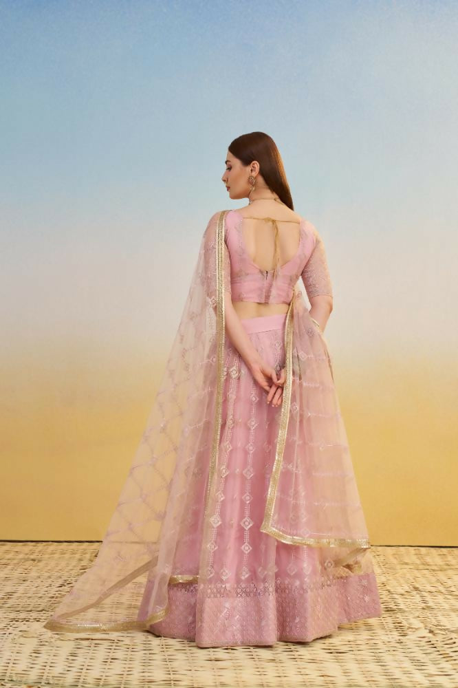Pink Butterfly Net Lehenga with Tone-to-Tone Thread Work
