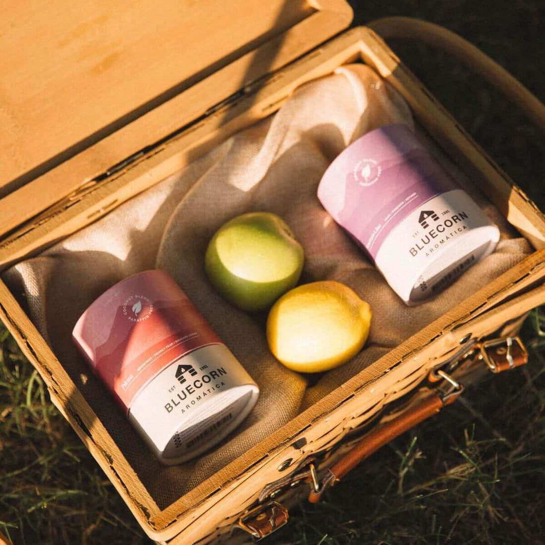 Paloma Scented Candle - Aromática