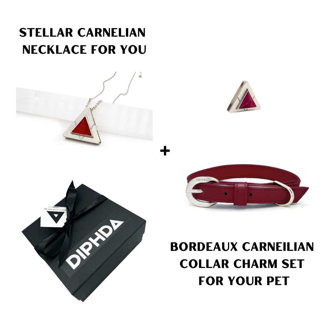 Bordeaux Carnelian Match Your Pet Gift Box Set