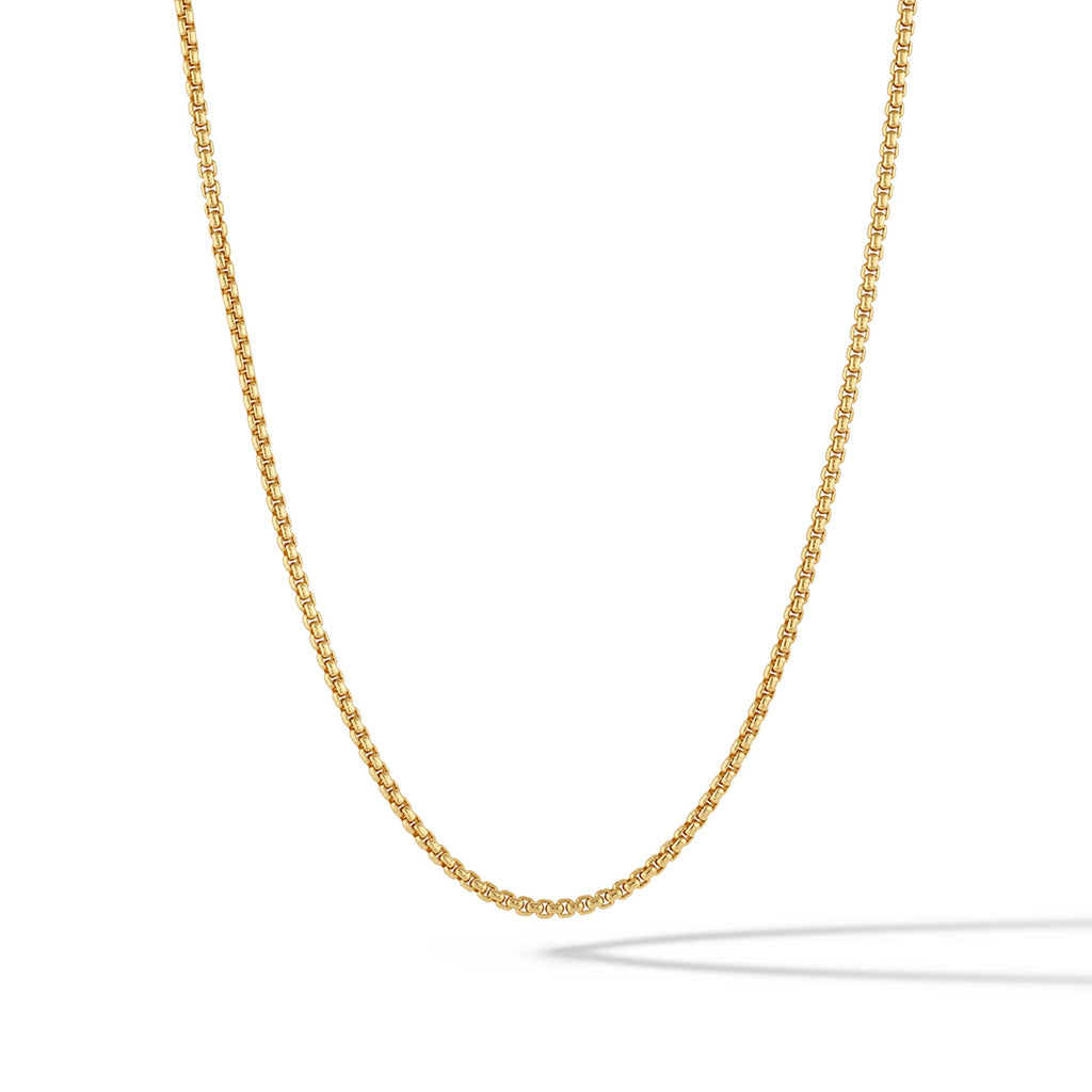 Close-up of a 2mm 14k gold plated sterling silver box chain necklace with a parrot clasp.