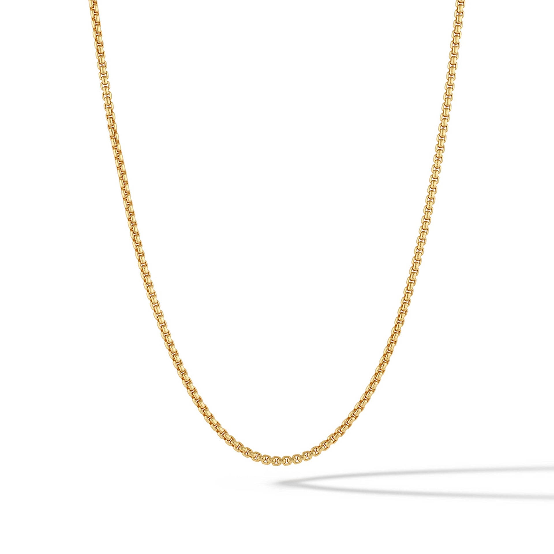 Close-up of a 2mm 14k gold plated sterling silver box chain necklace with a parrot clasp.