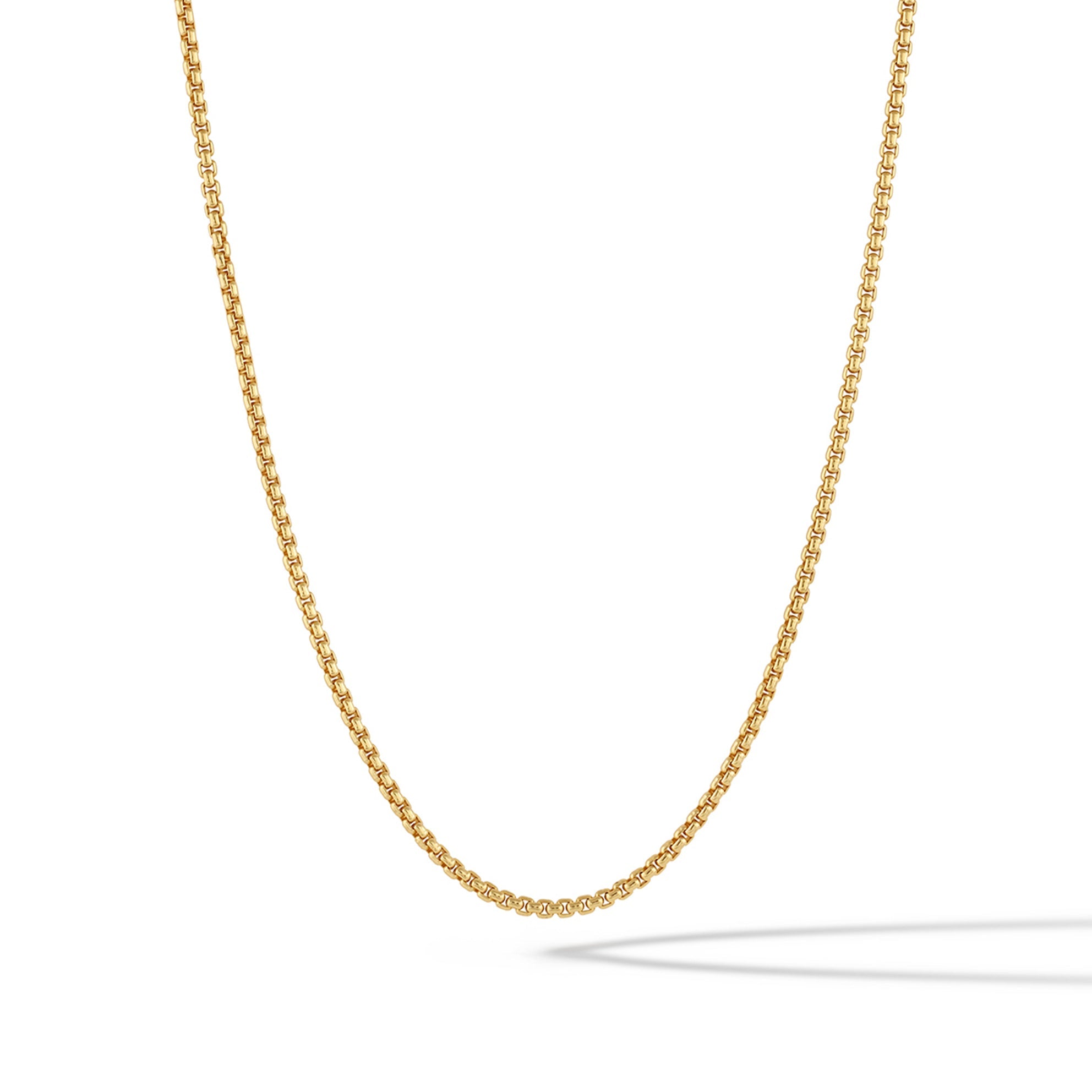 Close-up of a 2mm 14k gold plated sterling silver box chain necklace with a parrot clasp.