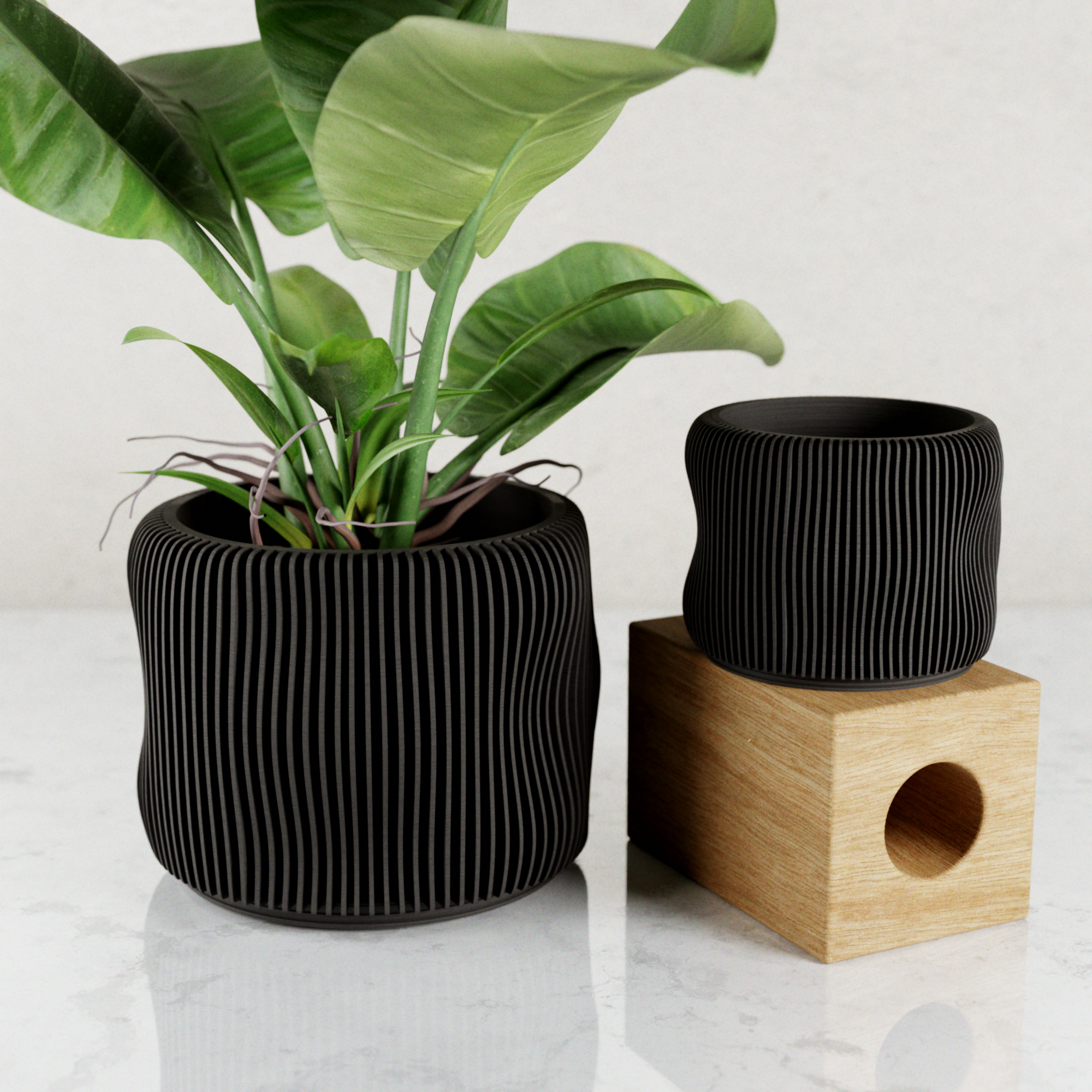 BUBBLY Planter
