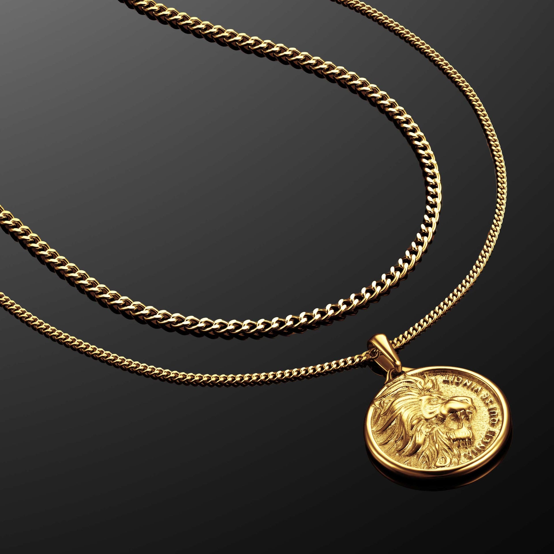 The Lion Pendant Necklace - 14K Gold Inner Mastery Jewelry