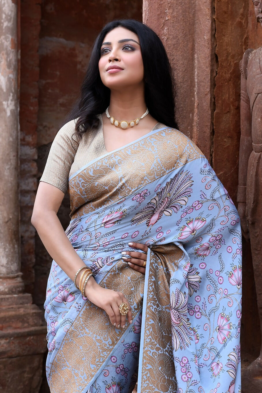Light Blue Crepe Chiffon Handloom Banarasi Silk Saree