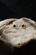 Gold Star Studs, 18k gold plated, stainless steel