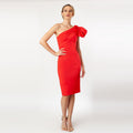One Shoulder Bow Sleeve Sheath