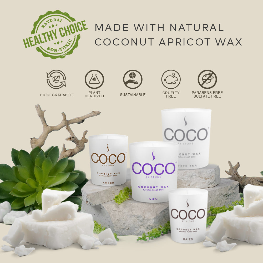 Santal Natural Coconut Apricot Wax Candle