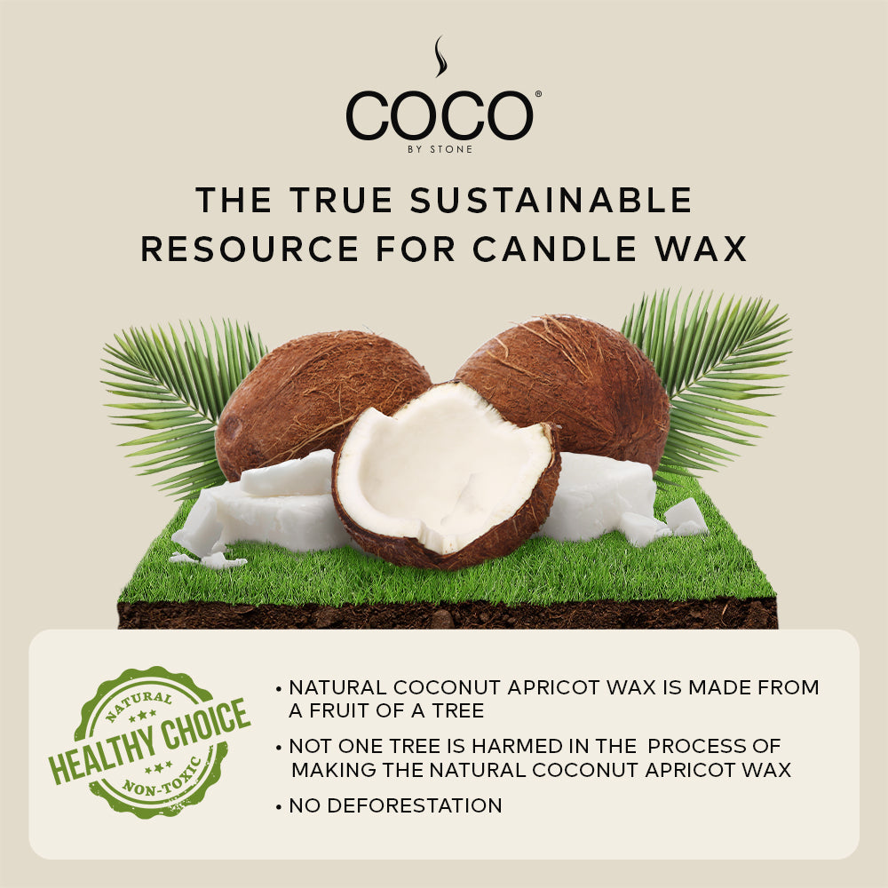 Oud Wood Natural Coconut Apricot Wax Candle