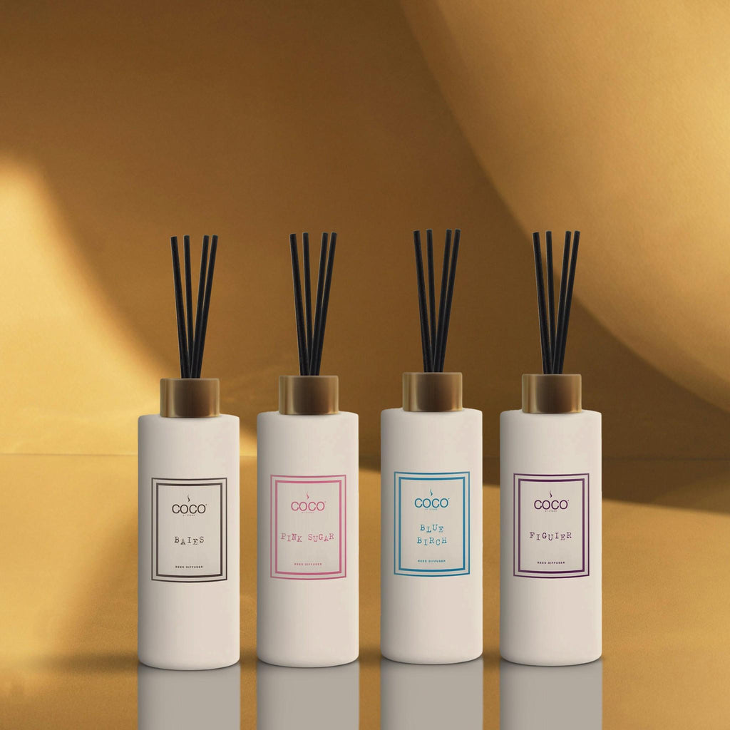 5oz Blue Birch Reed Diffuser