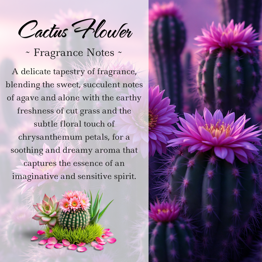 Cactus Flower and Jade, Premium Coconut-Soy Wax Tea Light Crystal Candle, 1oz