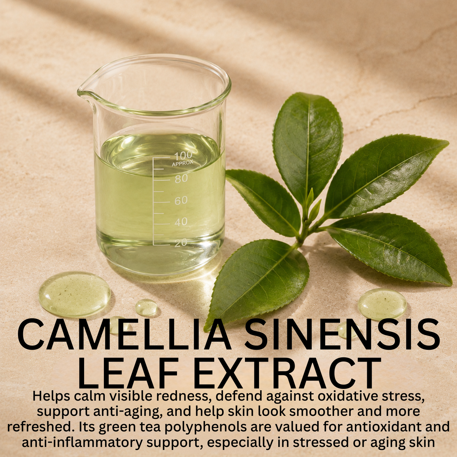 Intensive Acne Serum with Salix Alba and Green Tea Extract