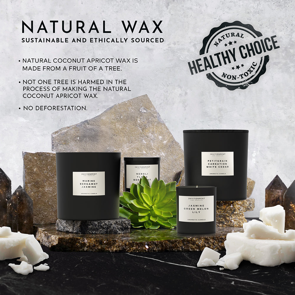 55oz White Tea | Cedar | Aloe Vera Candle (Inspired by Westin Hotel®)