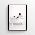 Cat - Siamese Animal Bathroom Tub Poster