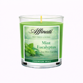 Mint Eucalyptus Mini Candle