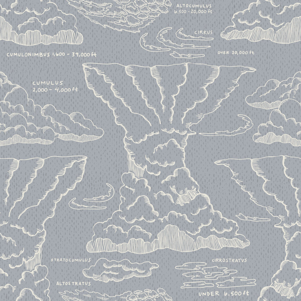 Cirrus Wallpaper by Seedpod Design
