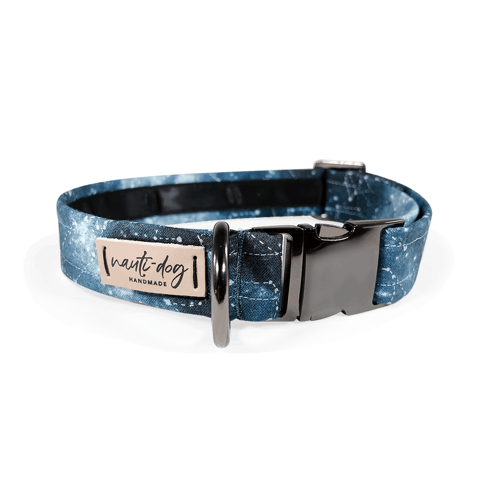 Constellation Astrological Star Chart Buckle & Martingale Dog Collar