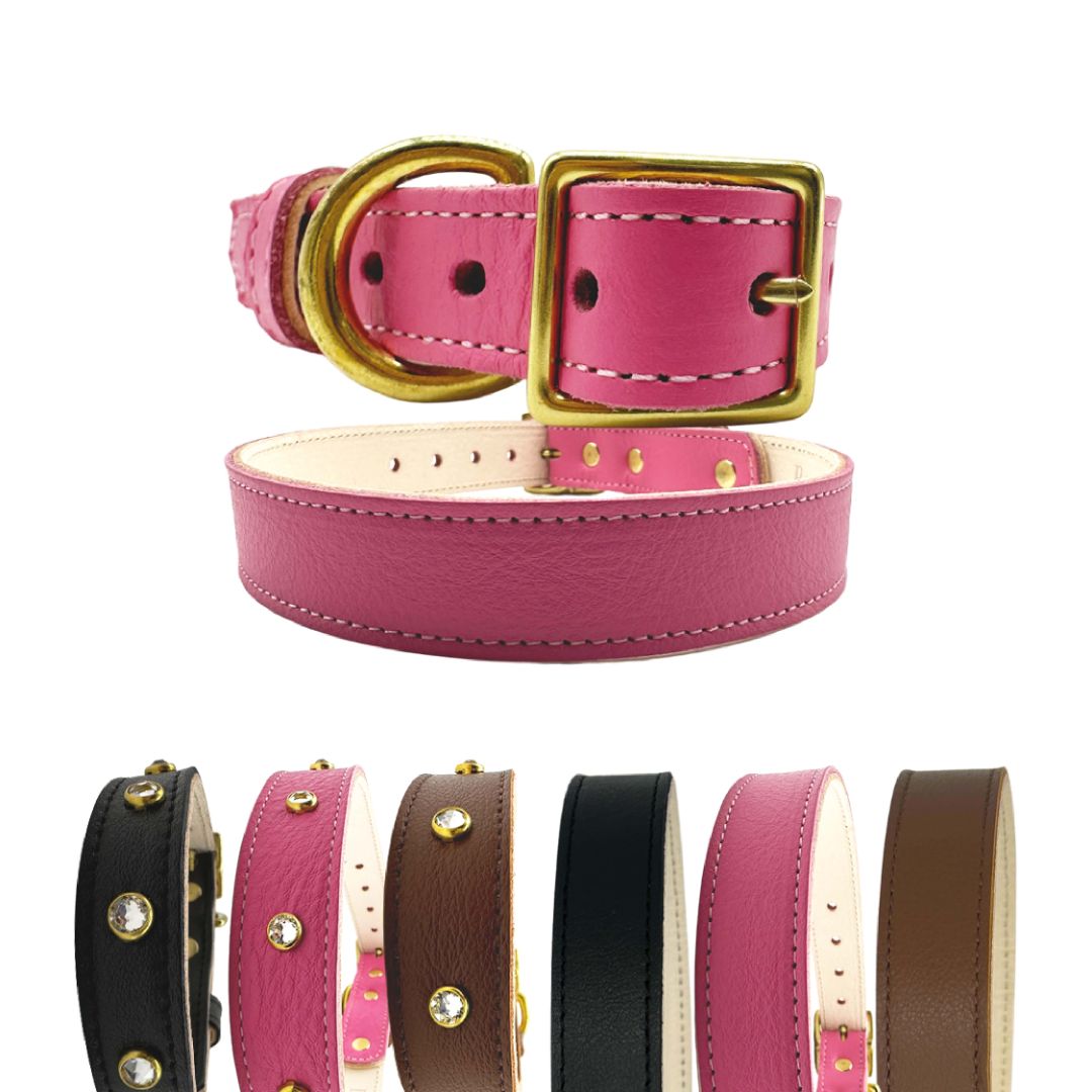 Leather Dog Collar