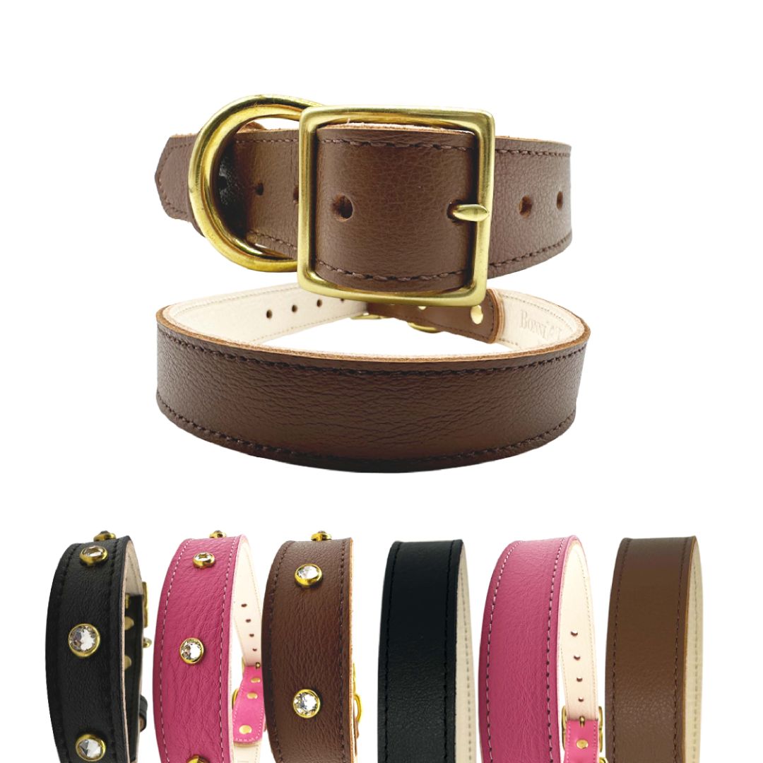 Leather Dog Collar