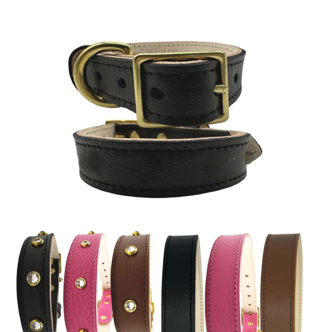 Leather Dog Collar