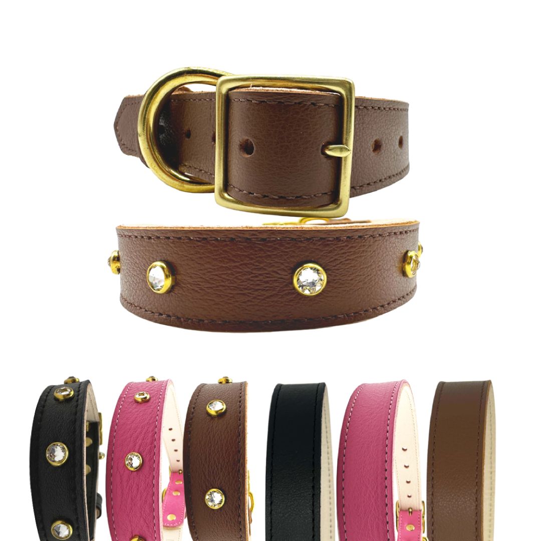 Leather Dog Collar