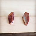 A pair of genuine Aqua Terra slab stud earrings with natural rust and brown stone patterns.