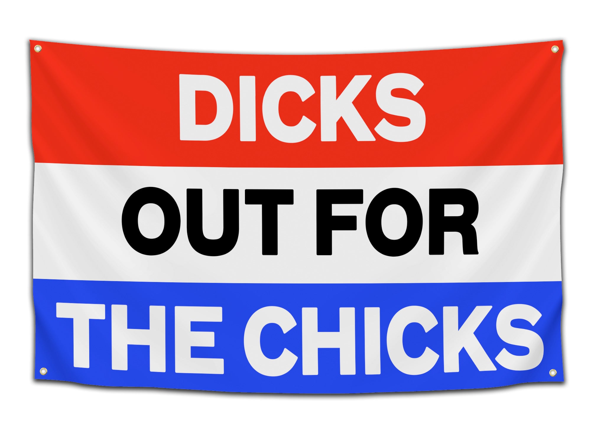 Dicks Out For The Chicks
