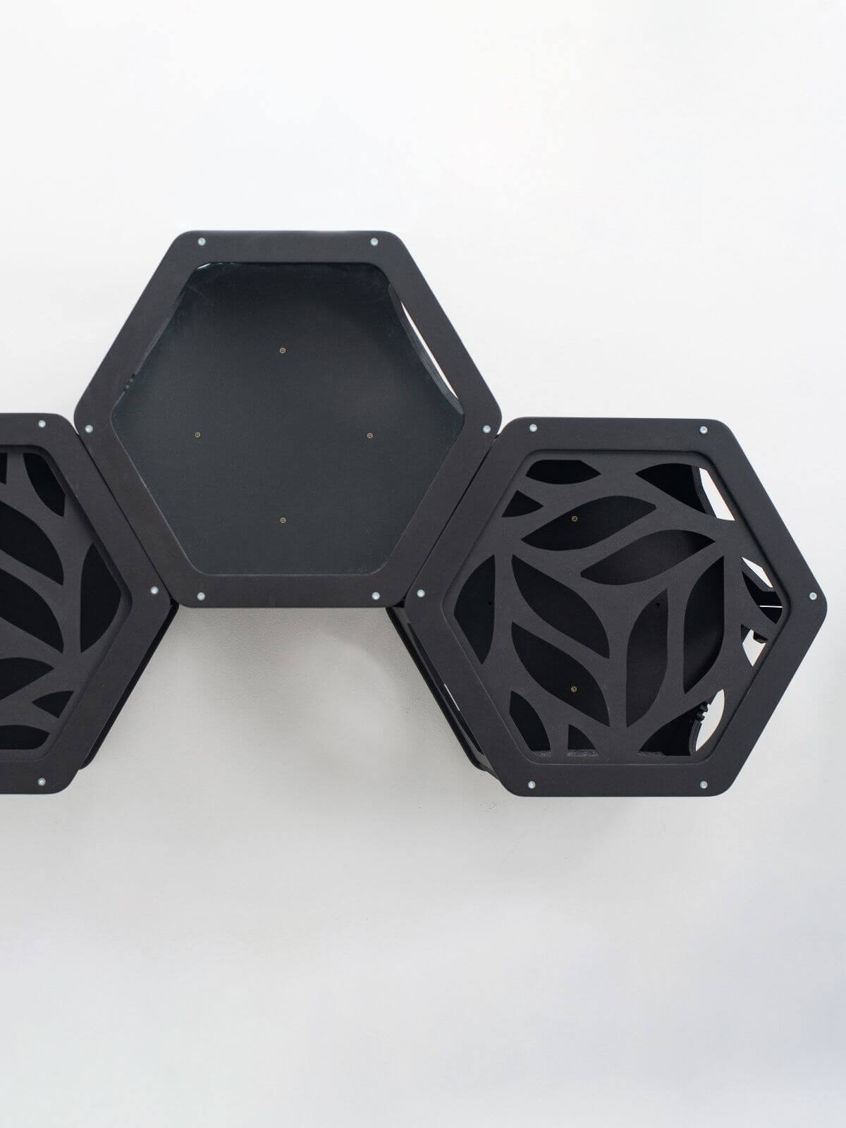 Hexagon Cat Wall Frame with Acrylic Panel