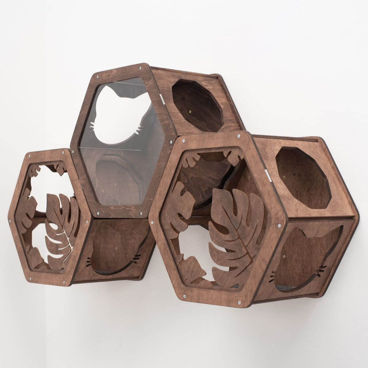 Hexagon Cat Wall Frame with Acrylic Panel