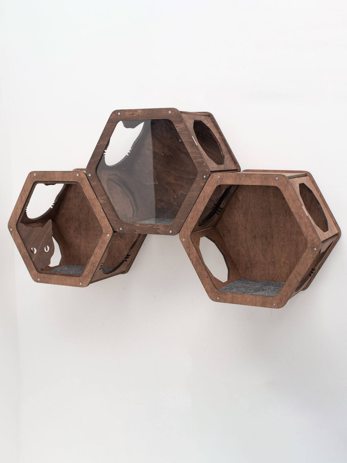 Hexagon Cat Wall Frame with Acrylic Panel