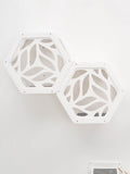 Hexagon-shaped wooden and acrylic cat frame mounted on a wall