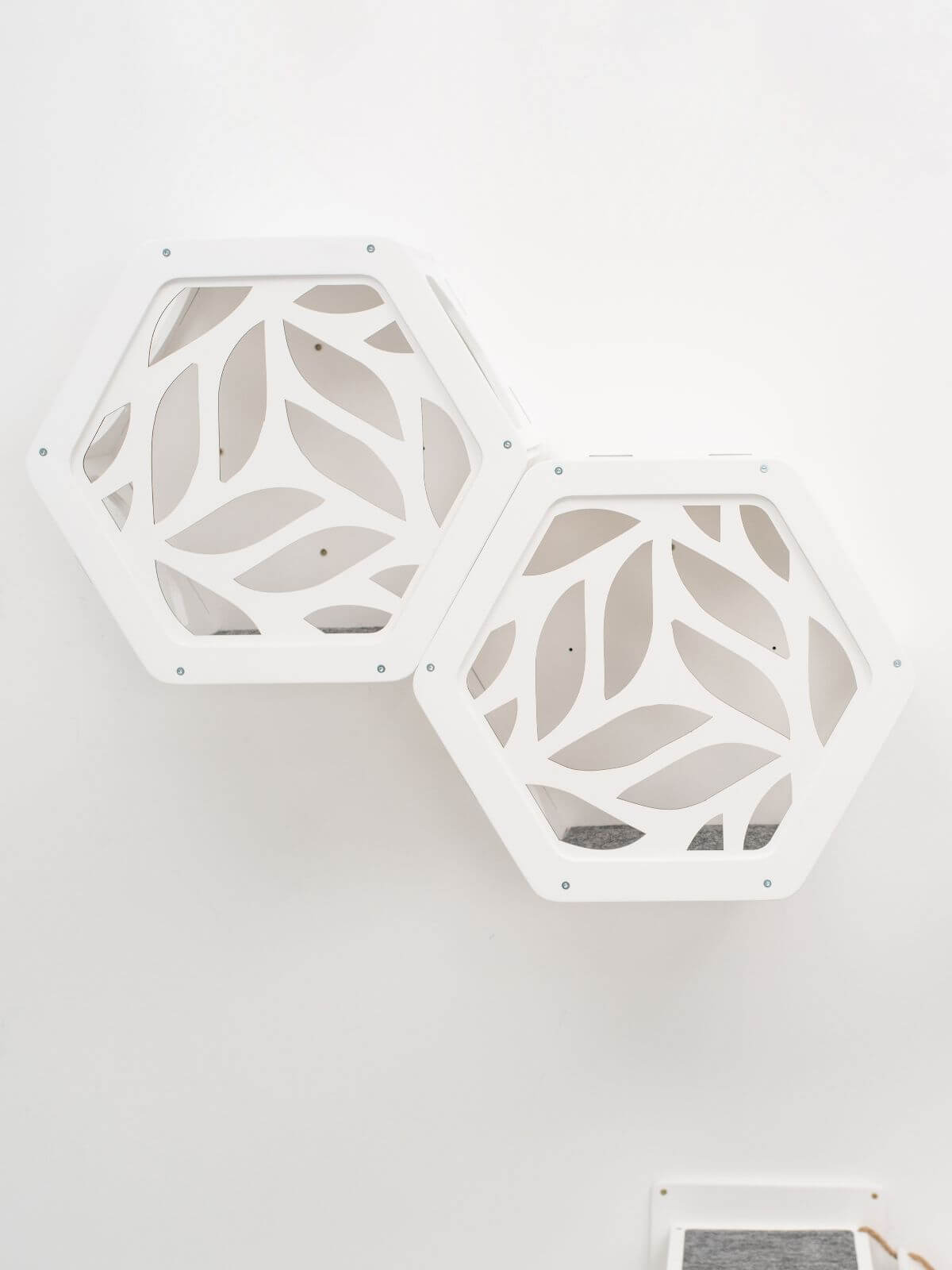Hexagon-shaped wooden and acrylic cat frame mounted on a wall