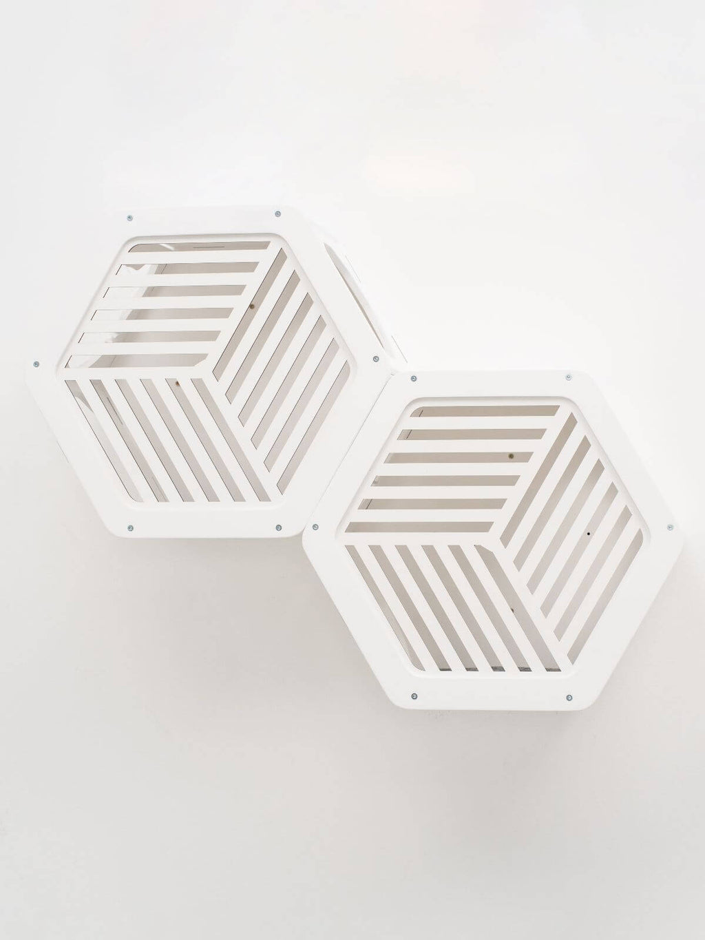 Hexagon Cat Wall Frame with Acrylic Panel