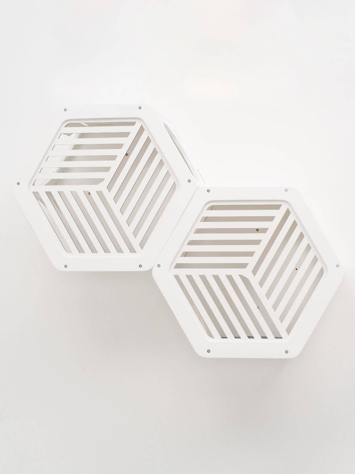 Hexagon Cat Wall Frame with Acrylic Panel