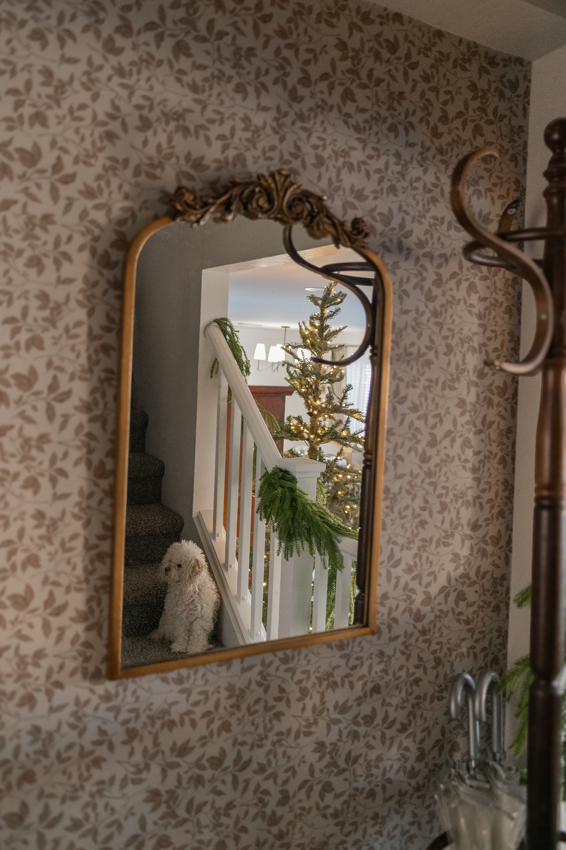 Cooper Removable Peel and Stick Wallpaper by Taddy Mikelaites