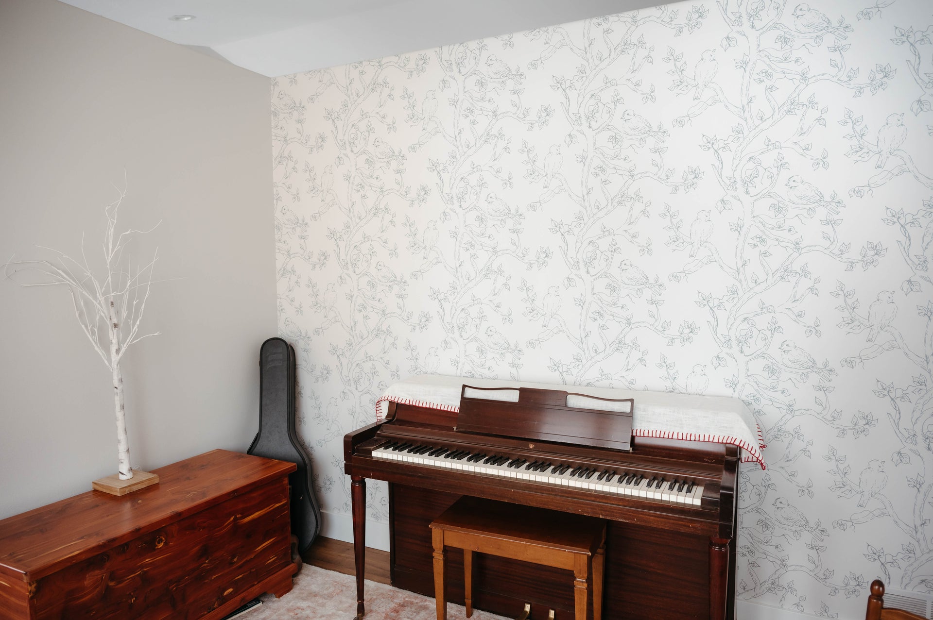 Ruby Wallpaper by Ali Anni Removable Peel and Stick Wall Decor