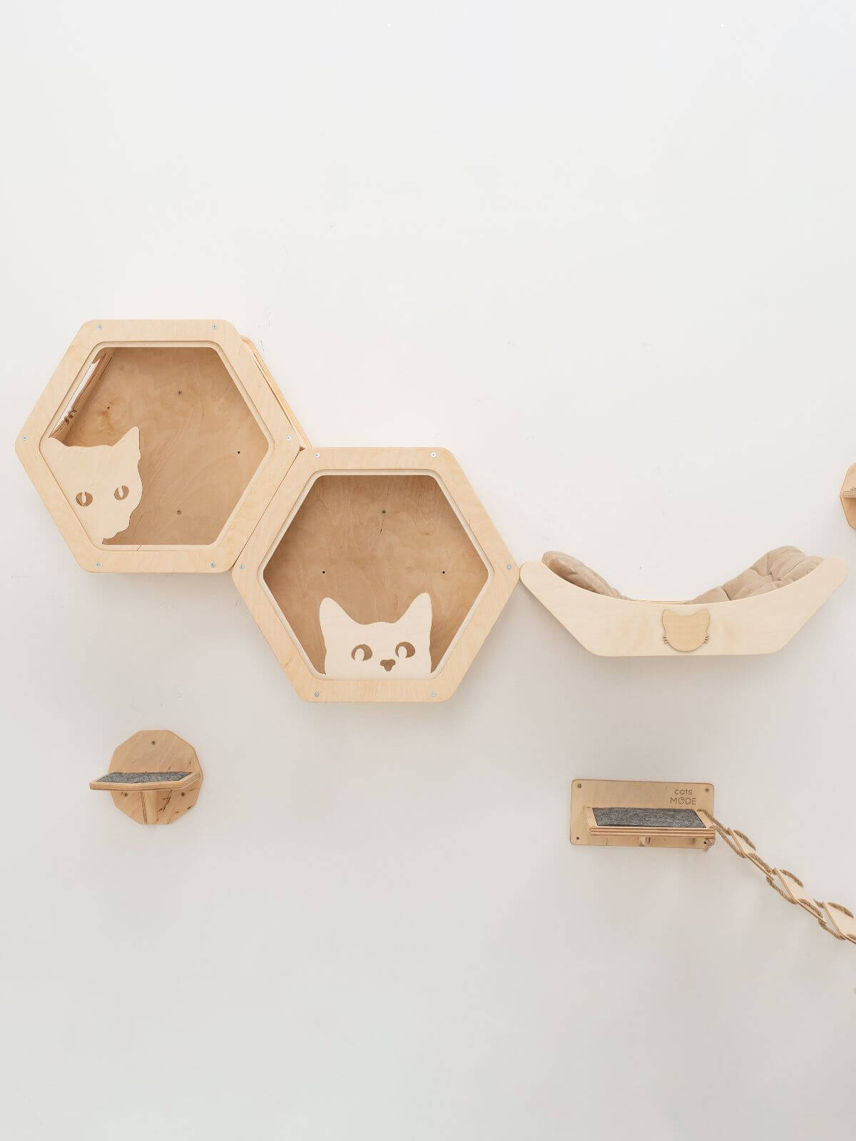 Hexagon Cat Wall Frame with Acrylic Panel