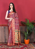 Multicolor soft Paithani silk saree with Patola print, golden zari pallu, and printed blouse