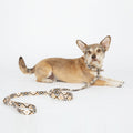Diamond Cork Leather Leash