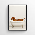 Dog - Dachshund Animal Bathroom Tub Poster