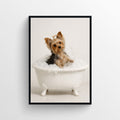 A photorealistic print of a Yorkshire Terrier sitting in a white clawfoot bathtub.