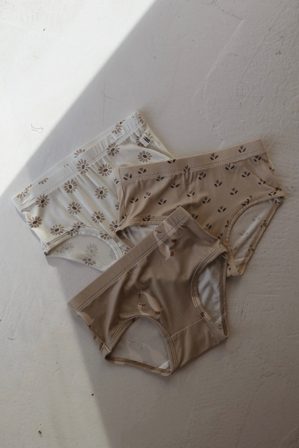 Girl's Bamboo Briefs (3 Pack) | Flora, Silly Goose & Daisy Fields